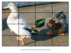 Puzzle-Ente-Lilly-2.pdf